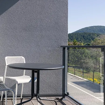 Sun&sport Cedrowy I Abies Parking I Prywatna Sauna W Cenie Apartment Szczyrk